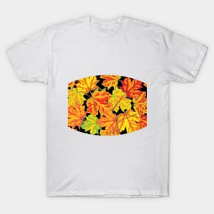 Fall Autumn Leaves T-Shirt